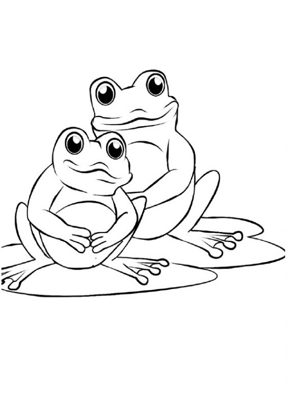 41 top idées de dessins & coloriages de grenouilles 22 41 top idées de dessins & coloriages de grenouilles 22