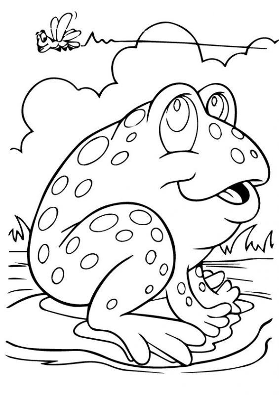 41 top idées de dessins & coloriages de grenouilles 31