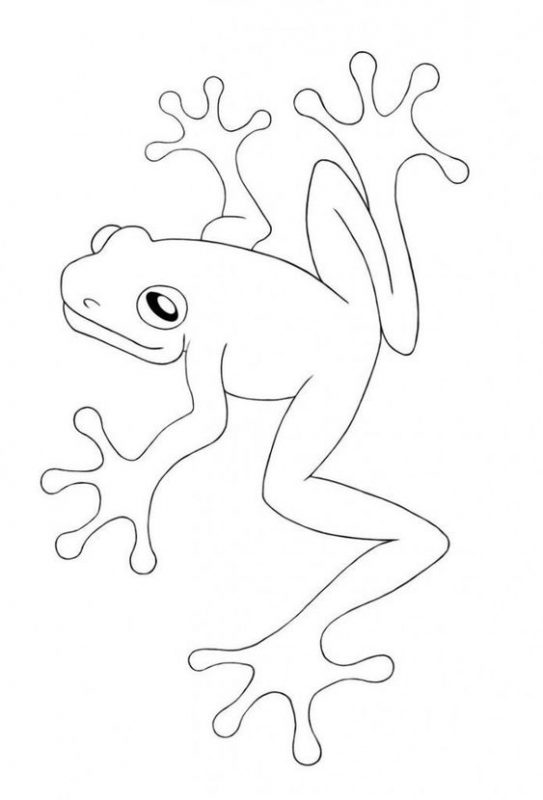 41 top idées de dessins & coloriages de grenouilles 40