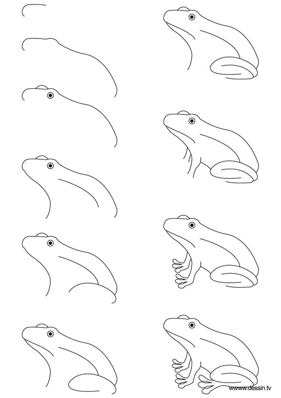 41 top idées de dessins & coloriages de grenouilles 5 41 top idées de dessins & coloriages de grenouilles 5