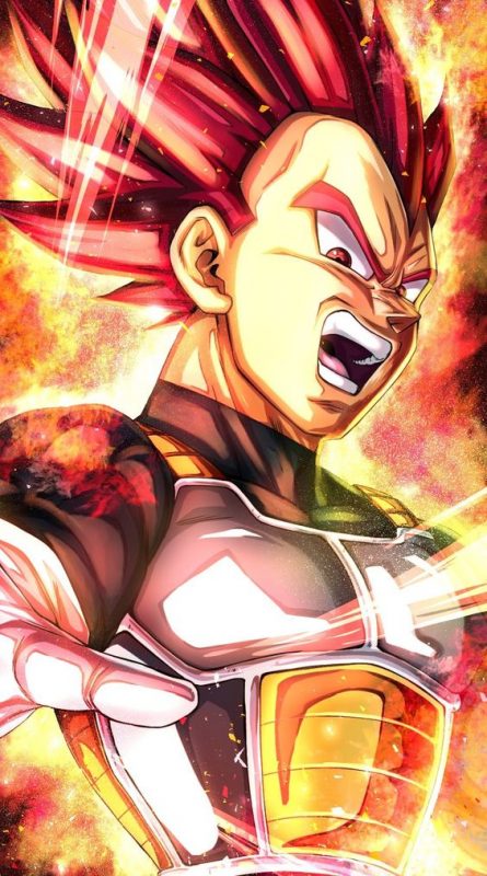 100 idées de dessins Dragon Ball Z pour apprendre à dessiner des dessins manga 11 100 idées de dessins Dragon Ball Z pour apprendre à dessiner des dessins manga 11
