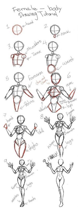100 tutos dessin pour apprendre à dessiner 67 100 tutos dessin pour apprendre à dessiner 67