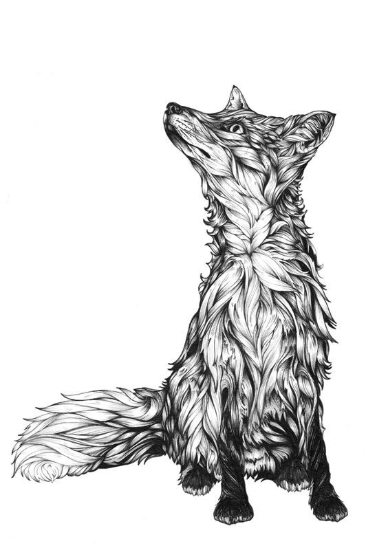 28 top idées & tutos de dessins renard 20 28 top idées & tutos de dessins renard 20