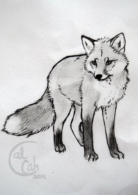 28 top idées & tutos de dessins renard 25 28 top idées & tutos de dessins renard 25
