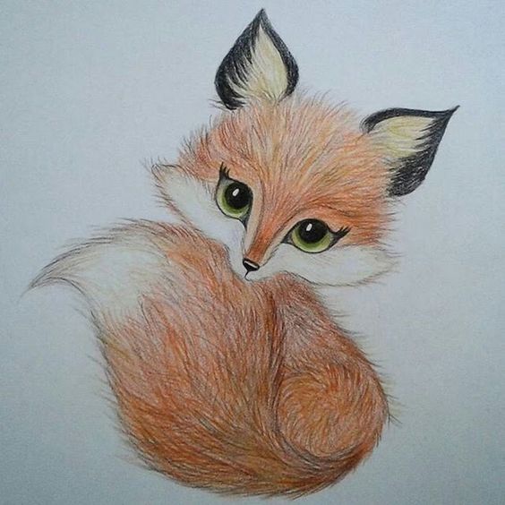 28 top idées & tutos de dessins renard 7 28 top idées & tutos de dessins renard 7