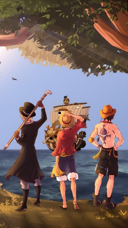 100 Top idées de Fonds d'Ecran One Piece 20
