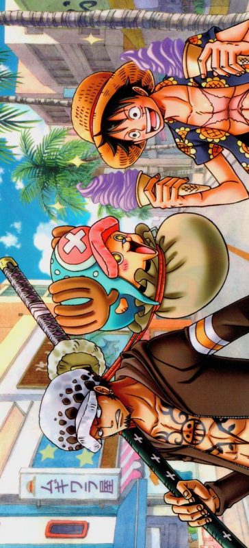 100 Top idées de Fonds d'Ecran One Piece 29
