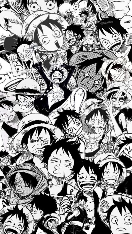 100 Top idées de Fonds d'Ecran One Piece 40