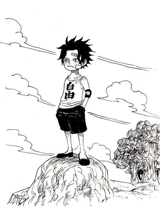 100 top idées & tutos de dessins One Piece 28 100 top idées & tutos de dessins One Piece 28