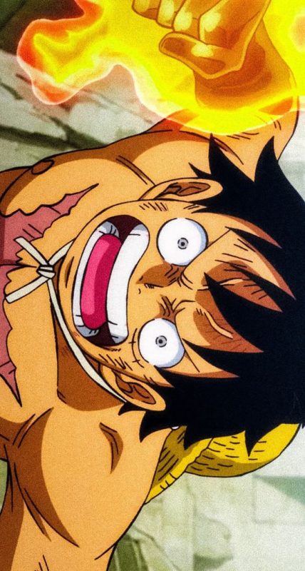 100 top idées & tutos de dessins One Piece 36 100 top idées & tutos de dessins One Piece 36