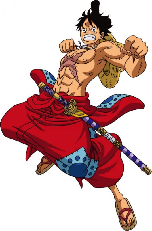 100 top idées & tutos de dessins One Piece 101 100 top idées & tutos de dessins One Piece 101