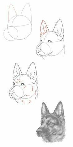 66 top idées & tutos de dessins de chiens : pour apprendre à dessiner des chiens 3 66 top idées & tutos de dessins de chiens : pour apprendre à dessiner des chiens 3