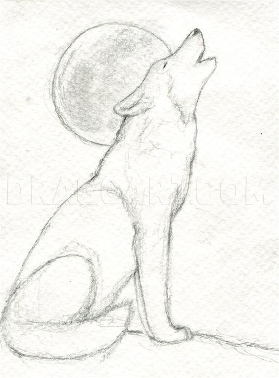 66 top idées & tutos de dessins de chiens : pour apprendre à dessiner des chiens 5 66 top idées & tutos de dessins de chiens : pour apprendre à dessiner des chiens 5