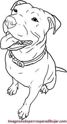66 top idées & tutos de dessins de chiens : pour apprendre à dessiner des chiens 46 66 top idées & tutos de dessins de chiens : pour apprendre à dessiner des chiens 46