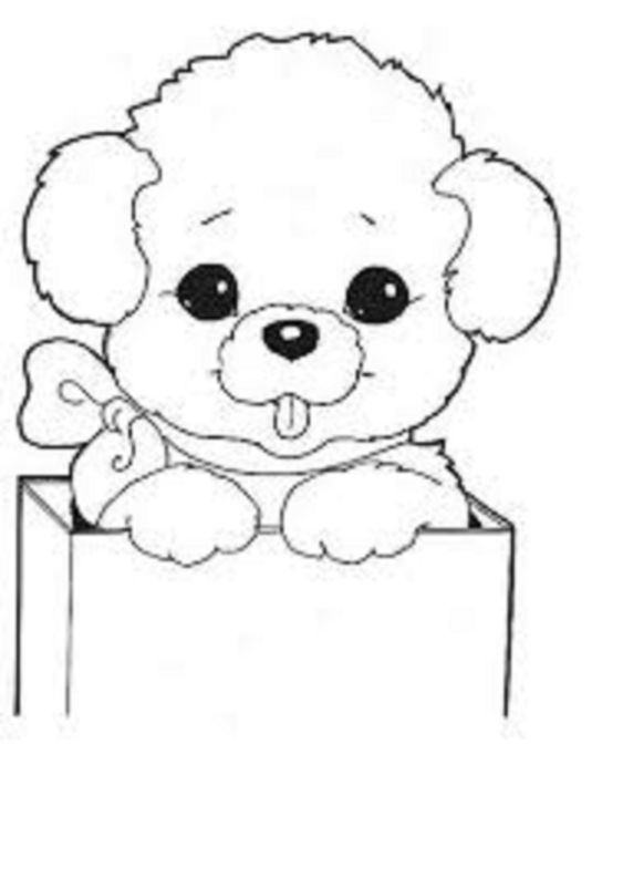 66 top idées & tutos de dessins de chiens : pour apprendre à dessiner des chiens 47 66 top idées & tutos de dessins de chiens : pour apprendre à dessiner des chiens 47