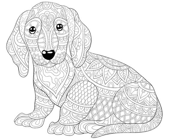 66 top idées & tutos de dessins de chiens : pour apprendre à dessiner des chiens 48 66 top idées & tutos de dessins de chiens : pour apprendre à dessiner des chiens 48