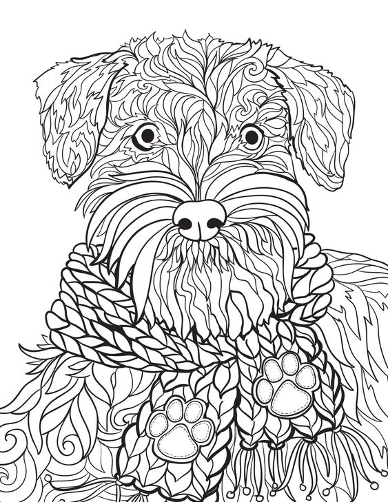66 top idées & tutos de dessins de chiens : pour apprendre à dessiner des chiens 52 66 top idées & tutos de dessins de chiens : pour apprendre à dessiner des chiens 52