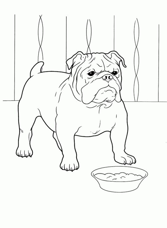 66 top idées & tutos de dessins de chiens : pour apprendre à dessiner des chiens 53 66 top idées & tutos de dessins de chiens : pour apprendre à dessiner des chiens 53