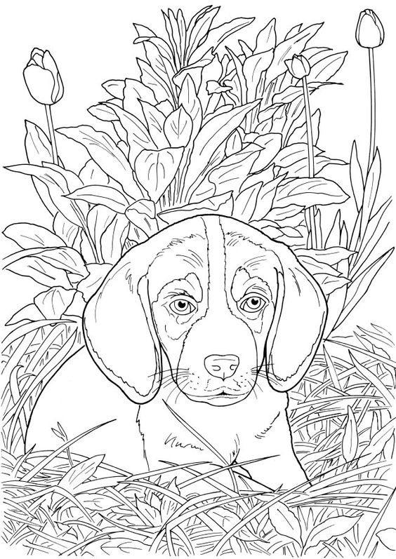 66 top idées & tutos de dessins de chiens : pour apprendre à dessiner des chiens 59 66 top idées & tutos de dessins de chiens : pour apprendre à dessiner des chiens 59