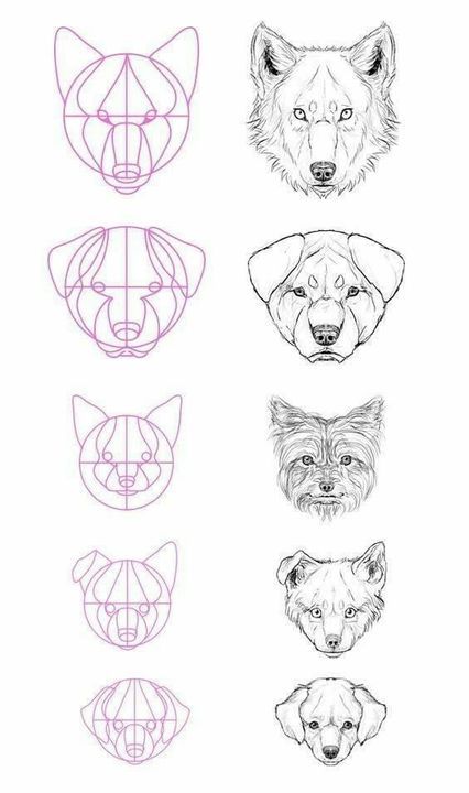 66 top idées & tutos de dessins de chiens : pour apprendre à dessiner des chiens 9 66 top idées & tutos de dessins de chiens : pour apprendre à dessiner des chiens 9