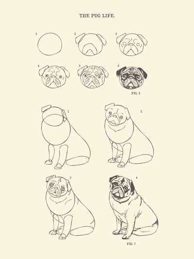 100 tutoriels dessins étape par étape pour débutant 11 100 tutoriels dessins étape par étape pour débutant 11