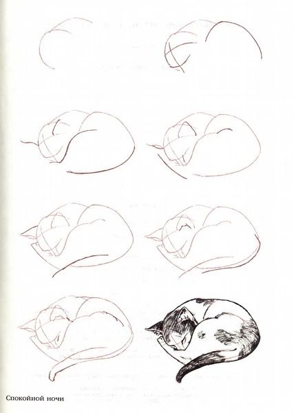 100 tutoriels dessins étape par étape pour débutant 26 100 tutoriels dessins étape par étape pour débutant 26