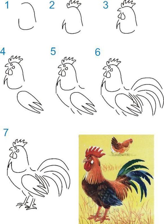 100 tutoriels dessins étape par étape pour débutant 31 100 tutoriels dessins étape par étape pour débutant 31