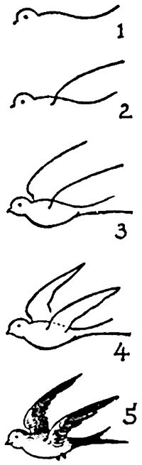 100 tutoriels dessins étape par étape pour débutant 67 100 tutoriels dessins étape par étape pour débutant 67