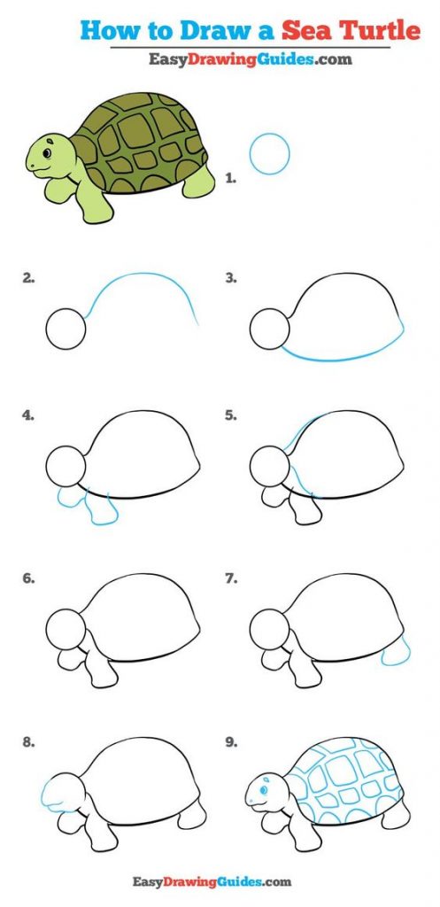 100 tutoriels dessins étape par étape pour débutant 83 100 tutoriels dessins étape par étape pour débutant 83