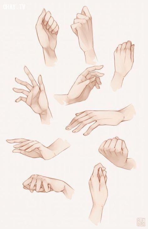 100 Top idées pour apprendre à dessiner une main 53 100 Top idées pour apprendre à dessiner une main 53