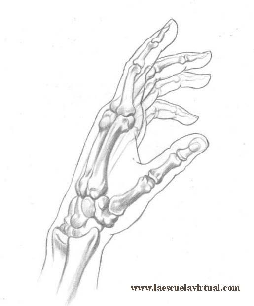 100 Top idées pour apprendre à dessiner une main 73 100 Top idées pour apprendre à dessiner une main 73