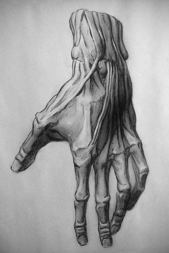 100 Top idées pour apprendre à dessiner une main 105 100 Top idées pour apprendre à dessiner une main 105