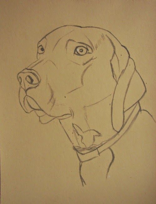 100 Top Idées & Tutos de Dessins de Chiens 11 100 Top Idées & Tutos de Dessins de Chiens 11