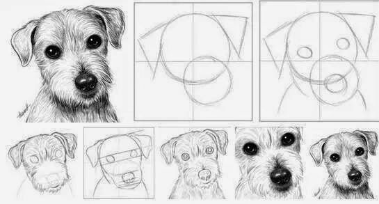 100 Top Idées & Tutos de Dessins de Chiens 14 100 Top Idées & Tutos de Dessins de Chiens 14