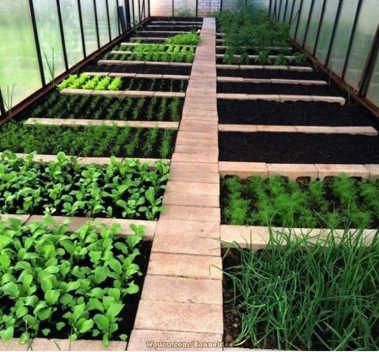 21 idées pour mettre un potager dans votre jardin 14 21 idées pour mettre un potager dans votre jardin 14