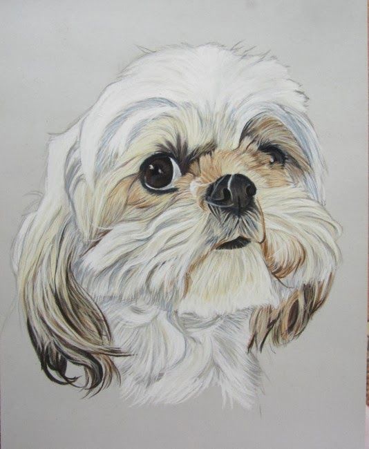 100 Top Idées & Tutos de Dessins de Chiens 15 100 Top Idées & Tutos de Dessins de Chiens 15