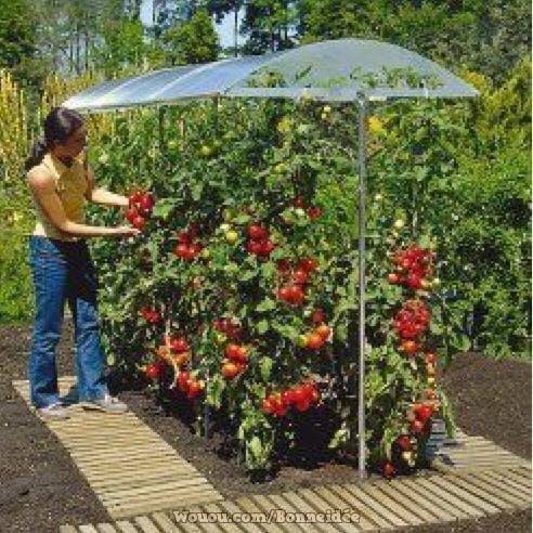 21 idées pour mettre un potager dans votre jardin 15 21 idées pour mettre un potager dans votre jardin 15