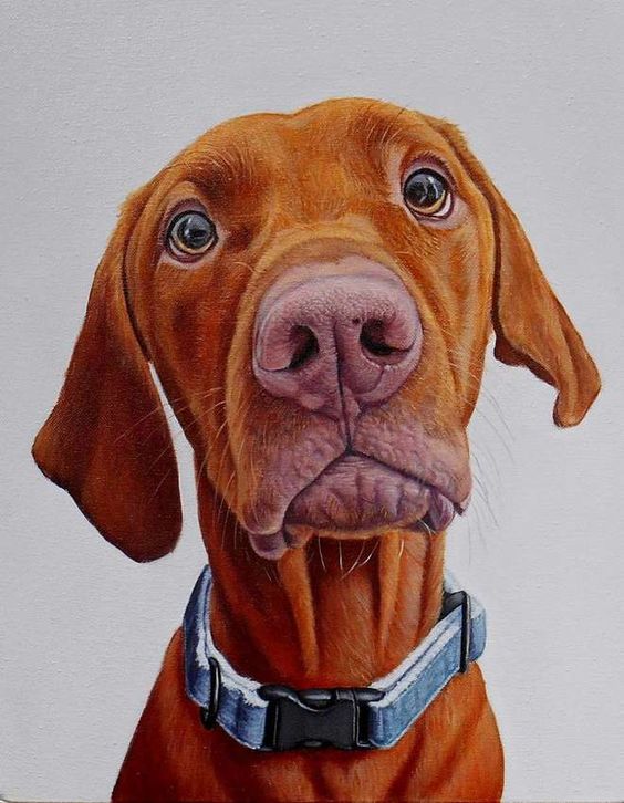 100 Top Idées & Tutos de Dessins de Chiens 16 100 Top Idées & Tutos de Dessins de Chiens 16