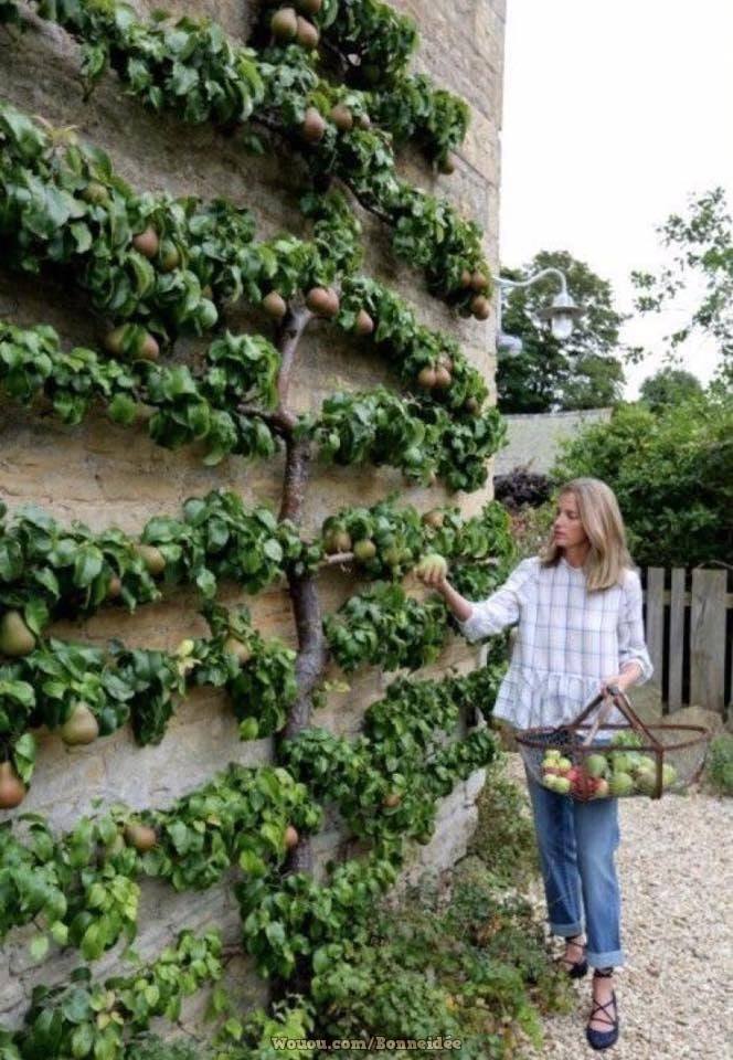 21 idées pour mettre un potager dans votre jardin 16 21 idées pour mettre un potager dans votre jardin 16