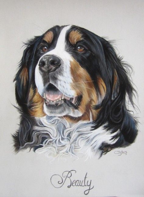 100 Top Idées & Tutos de Dessins de Chiens 18 100 Top Idées & Tutos de Dessins de Chiens 18