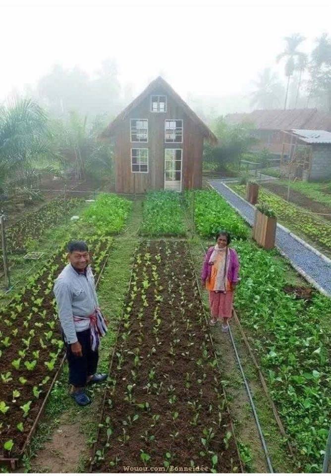 21 idées pour mettre un potager dans votre jardin 19 21 idées pour mettre un potager dans votre jardin 19