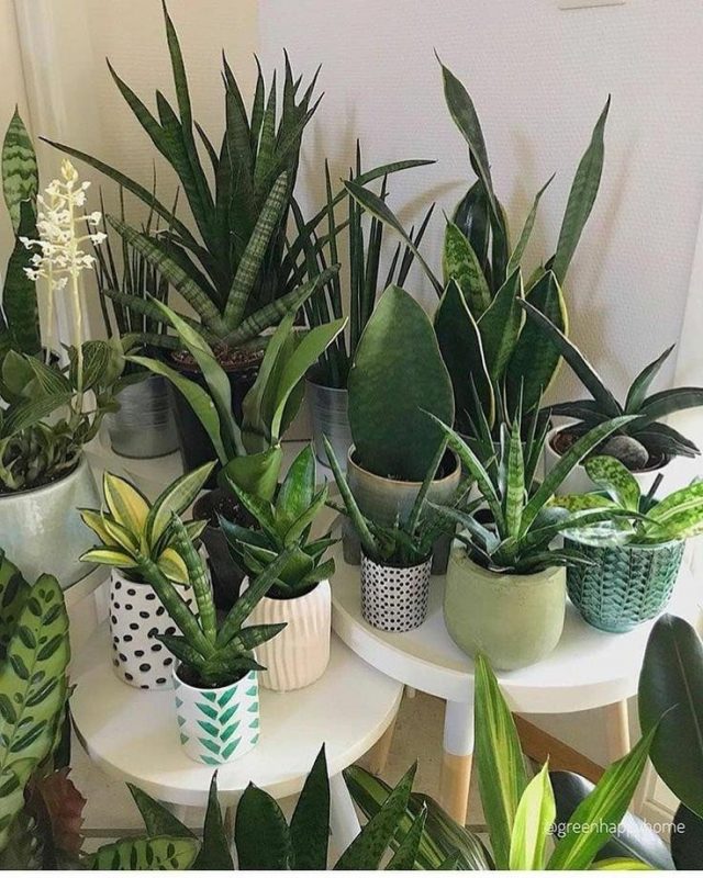19 idées de support de pots de fleurs modernes et élégants 11 19 idées de support de pots de fleurs modernes et élégants 11