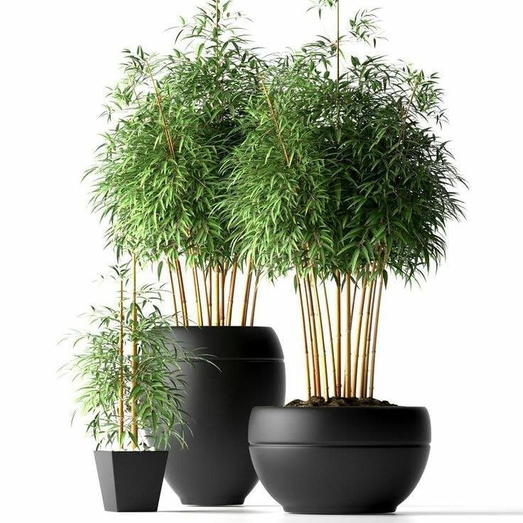 19 idées de support de pots de fleurs modernes et élégants 7 19 idées de support de pots de fleurs modernes et élégants 7