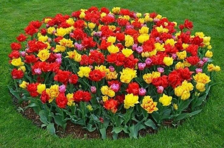 20 charmantes idées pour décorer votre jardin d'une jolie façon 4 20 charmantes idées pour décorer votre jardin d'une jolie façon 4