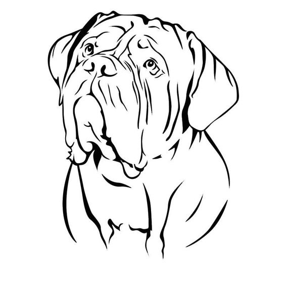 100 Top Idées & Tutos de Dessins de Chiens 23 100 Top Idées & Tutos de Dessins de Chiens 23