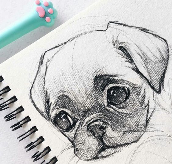 100 Top Idées & Tutos de Dessins de Chiens 25 100 Top Idées & Tutos de Dessins de Chiens 25
