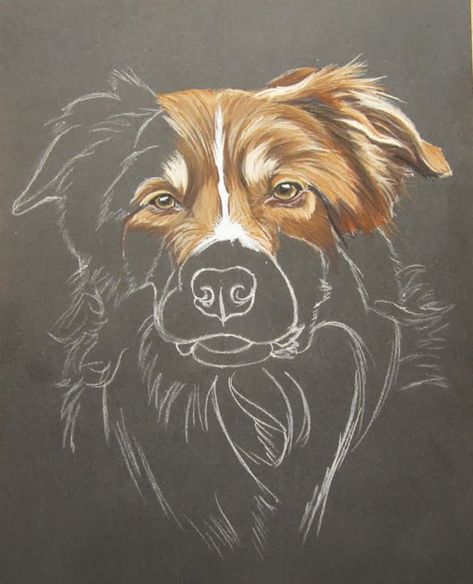 100 Top Idées & Tutos de Dessins de Chiens 27 100 Top Idées & Tutos de Dessins de Chiens 27