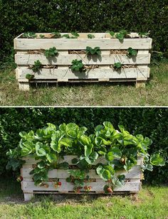 28 idées pour fabriquer une jardinière en palettes 10 28 idées pour fabriquer une jardinière en palettes 10