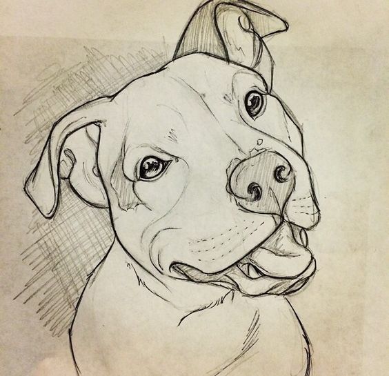 100 Top Idées & Tutos de Dessins de Chiens 29 100 Top Idées & Tutos de Dessins de Chiens 29