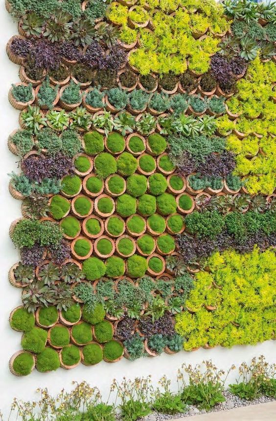 50 top idées de jardins verticaux pour s'inspirer 29 50 top idées de jardins verticaux pour s'inspirer 29